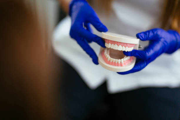  Detroit Beach, MI Holistic Dental Care Services Pros